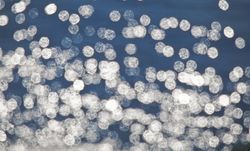 Unfocused-Sunlight-Sparkling-On-The-Sea-Wall-Mural