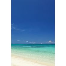 Clear Skies Beach Wall Mural