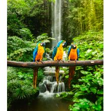 Birds Of A Feather Wall Mural
