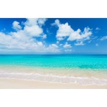 Tropical White Sand Beach Wall Mural