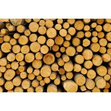 Pile of Chopped Fire Wood Wall Mural
