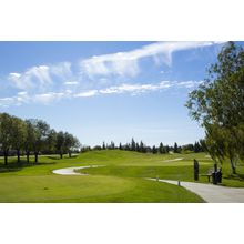 Summer Day Golf Course Wall Mural