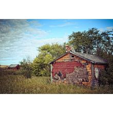 Old Weathered Homestead Wall Mural