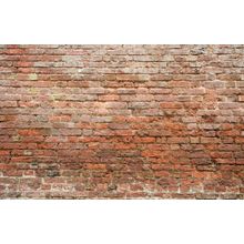 Aged Brick Wall Mural