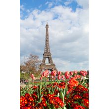 Tulips And Eiffel Tower Wall Mural