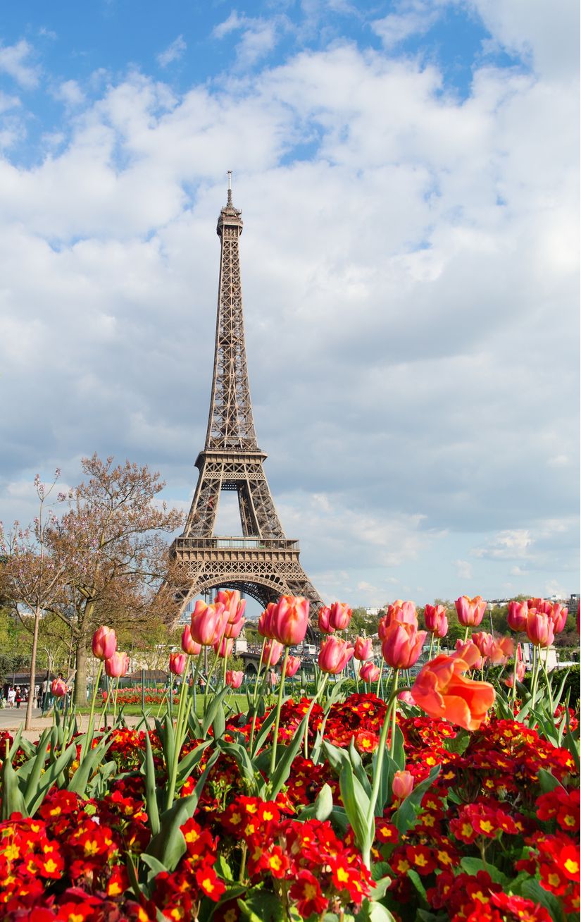 Tulips-And-Eiffel-Tower-Wall-Mural