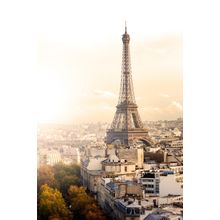 Vintage Paris View Wall Mural