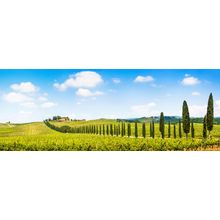 Scenic Tuscany Panorama Mural Wallpaper