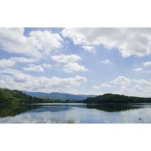 Summer Mountains Wall Mural