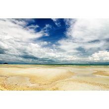 Low Tide Wall Mural