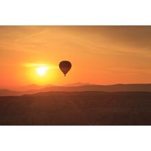 Towards The Sun Wall Mural