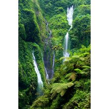 Madakaripura Waterfall in East Java, Indonesia Wall Mural