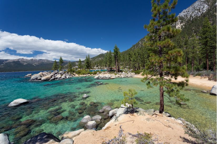Crystal-Clear-Waters-Of-Lake-Tahoe-Mural-Wallpaper
