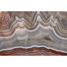 The Polished Cut of Agate Wall Mural
