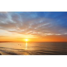 Sunrise Over The Sea Wall Mural