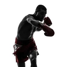 The Boxer Wall Mural