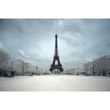 Eiffel Tower On A Winter Day Wall Mural