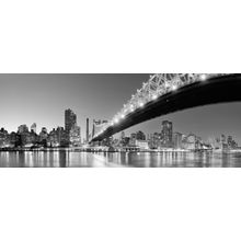 The Queensboro Bridge Wall Mural