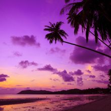 Tropical Beach With Palm Trees At Sunset In Thailand Wall Mural