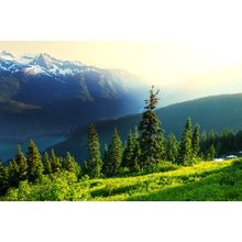 Diablo Lake Washington State Wall Mural