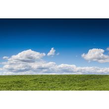 View Of Great Green Field Wall Mural