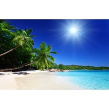 Anse Lazio Beach Praslin Island Wall Mural