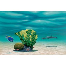 Fun Down Under Wall Mural