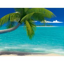 Palms On Parade Wall Mural