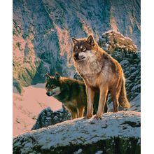 Wolfs in Sunset Wall Mural