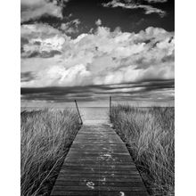 Oak Bluffs Beach Path Wall Mural