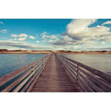 Bridge To The Beach Wall Mural