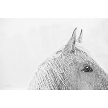 Snow Daze I Wall Mural