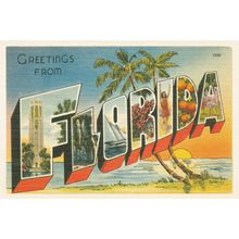 Greetings From Florida Wall Mural