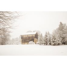 First Snow Wall Mural