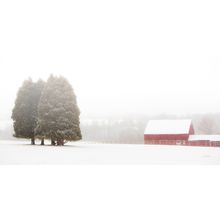 Winter Farm Wall Mural