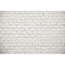 Old Whitewashed Brick Wall Wall Mural