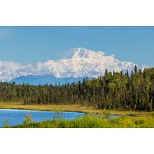 Denali Vista  Wall Mural