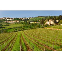 Chianti Landscape Wall Mural