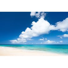 Anguilla Island Beach Wall Mural