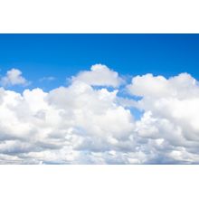 Beautiful Fluffy White Clouds Wall Mural