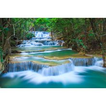 Deep Forest Waterfall Wall Mural