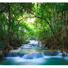 Deep Forest Cascades Wall Mural