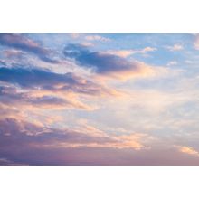 Vanilla Sunset Wall Mural