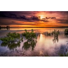 Benbrook Lake At Dawn Wall Mural