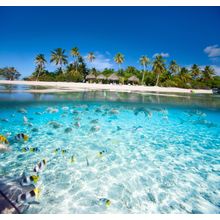 Tropical Paradise Wall Mural