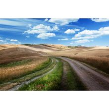 A Tuscan Road Wall Mural