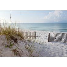 Landscape of Dunes Beach, Gulf of Mexico Wall Mural