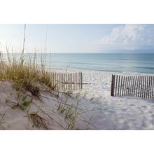 Landscape of Dunes Beach, Gulf of Mexico Wallpaper Mural