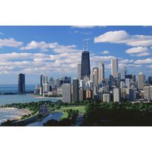 Diversey Harbor Lincoln Park Chicago Wall Mural