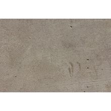 Unfinished Concrete Wall Background Wall Mural